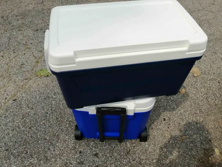 Cooler with handles