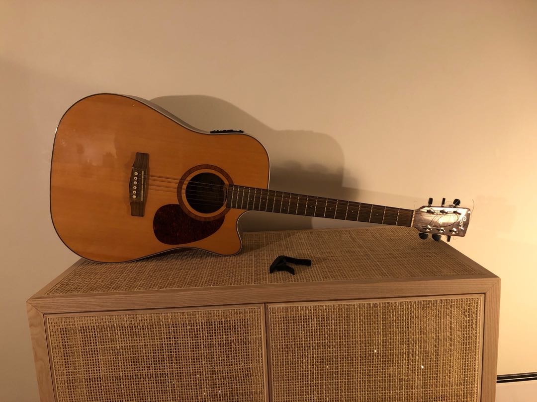 Stålsträngad gitarr (halv-aukustisk)