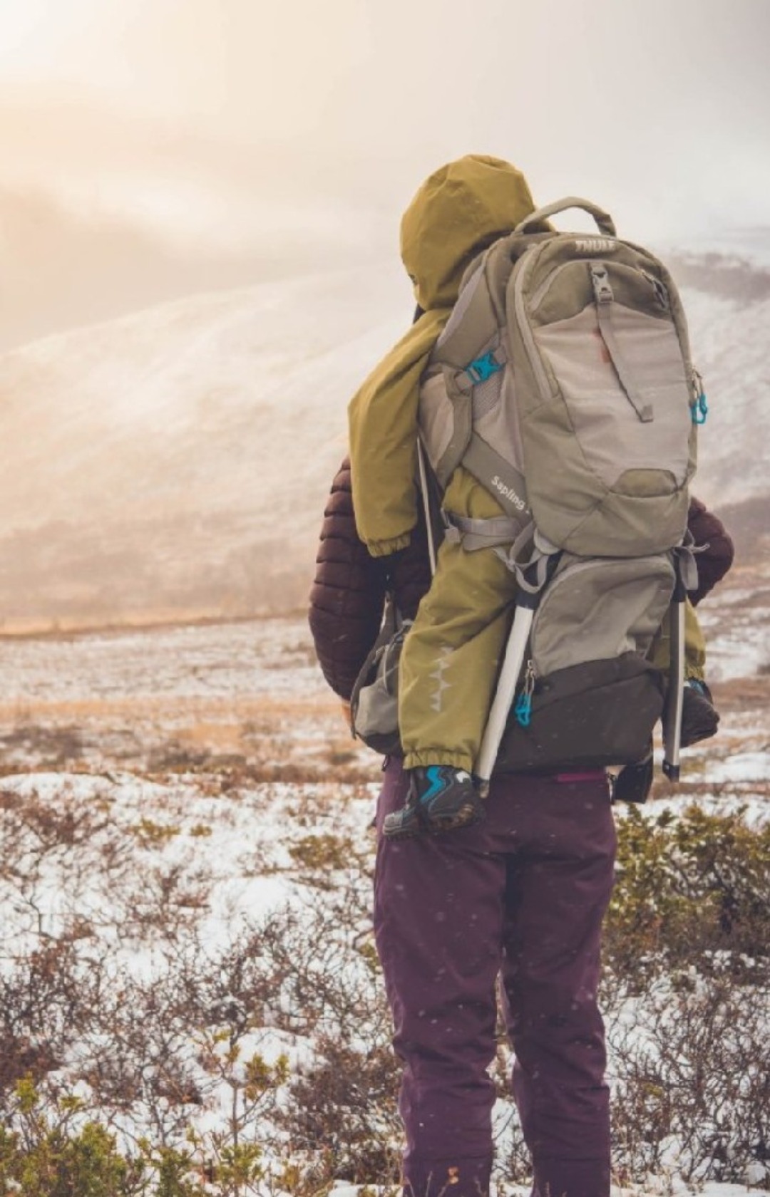 Thule sapling elite