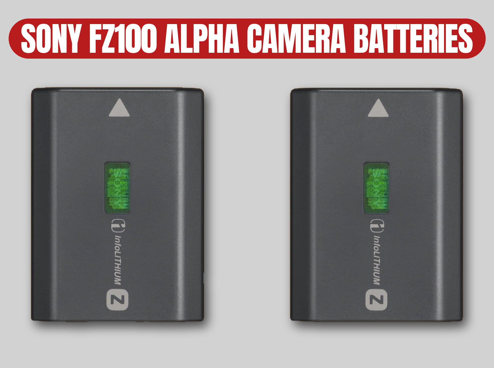 Sony fz100 alpha camera batteries (2-pack) | alpha / fz100 / camera power / add-on