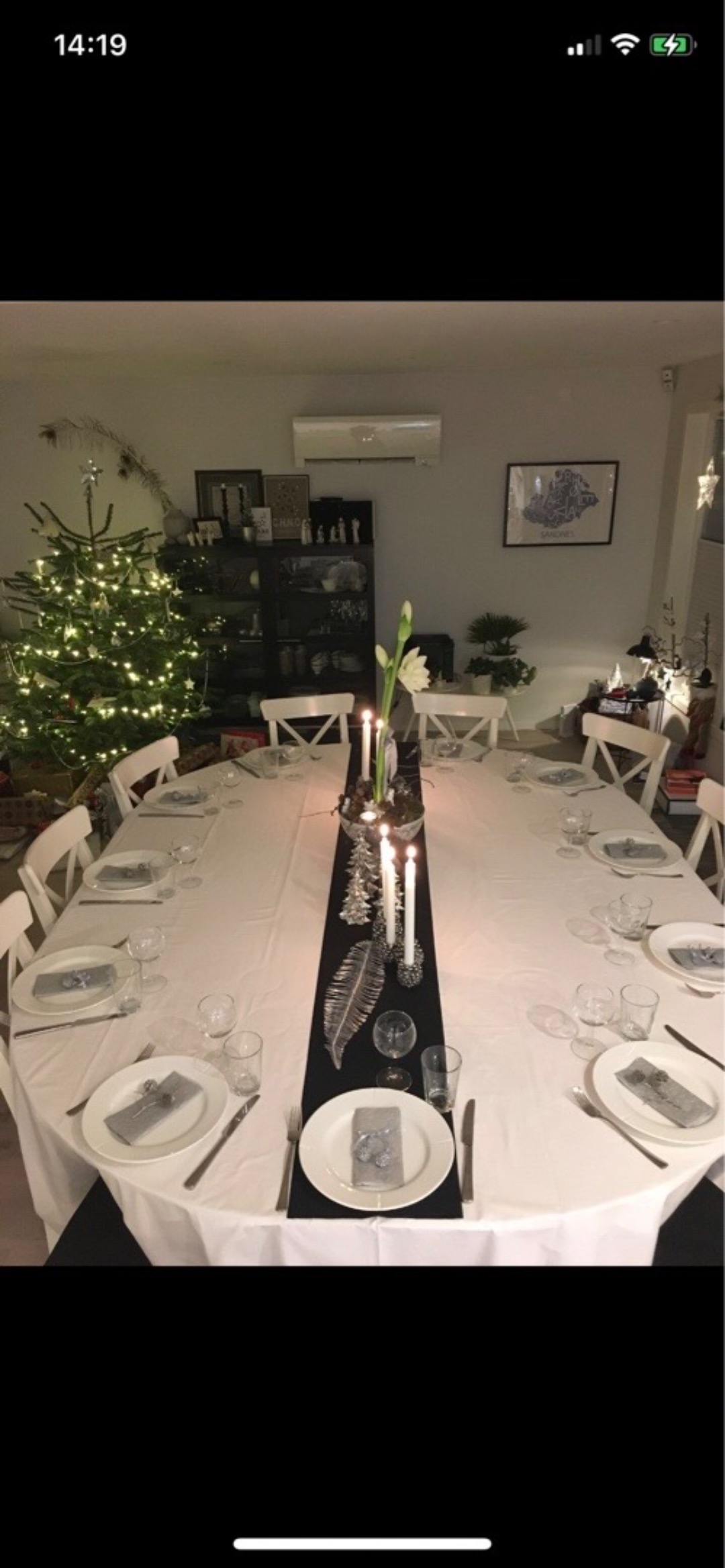 Stor bordplate og 12 stoler