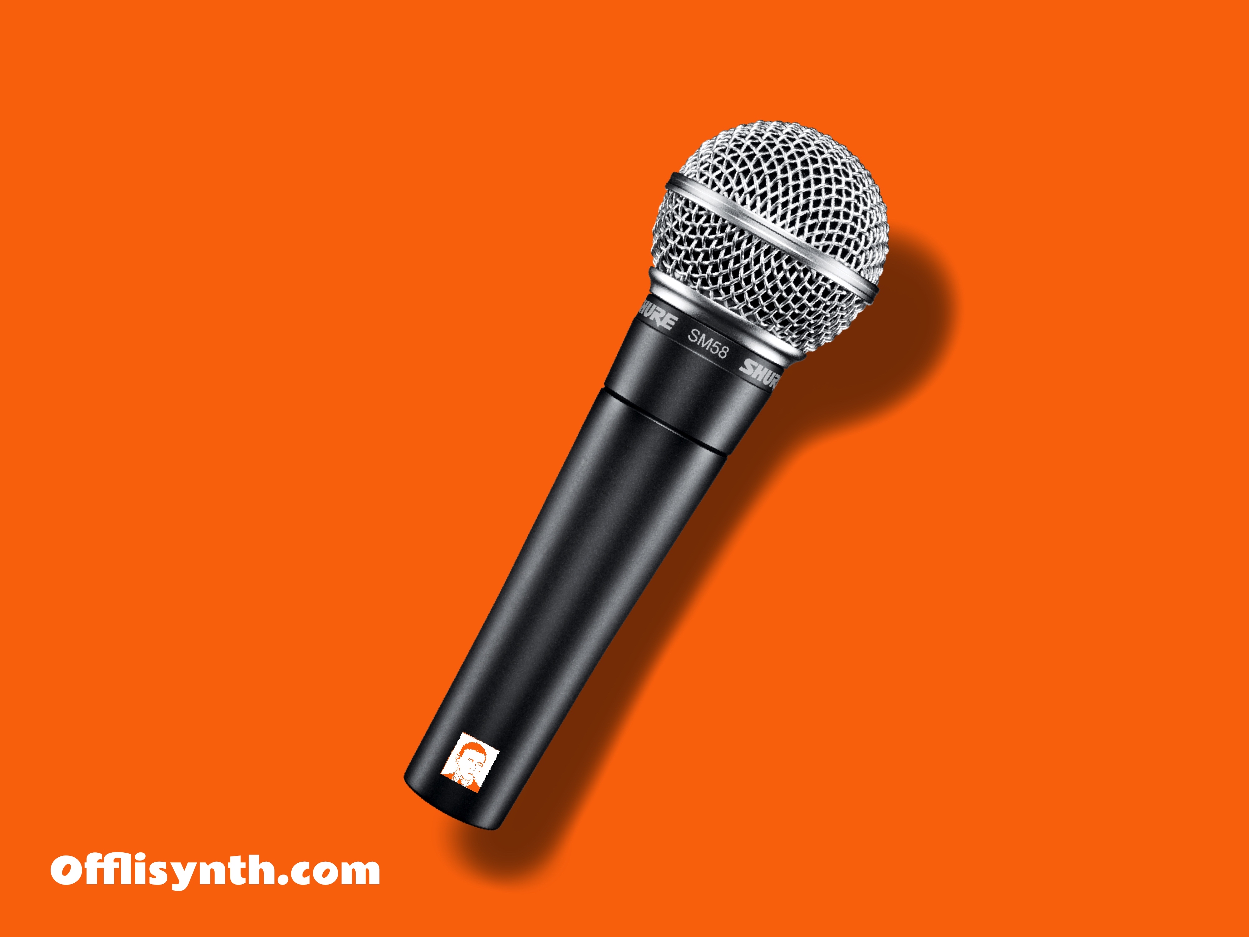 Shure sm58