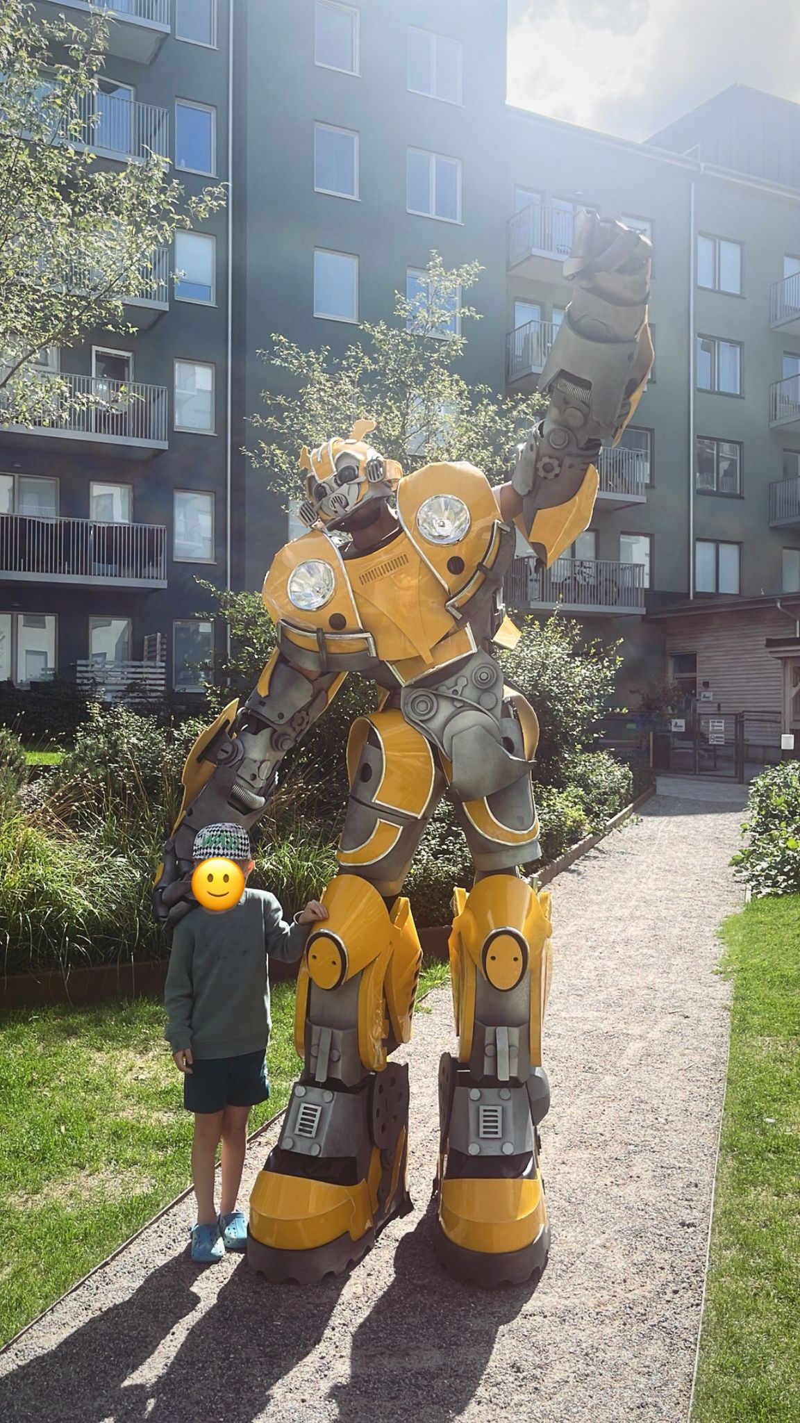 Transformer bumblebee