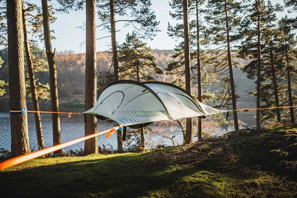 Tentsile stingray