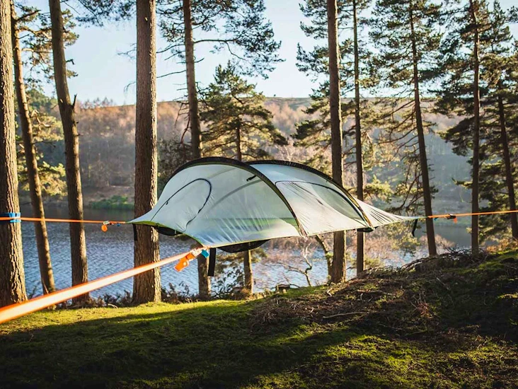 Tentsile stingray
