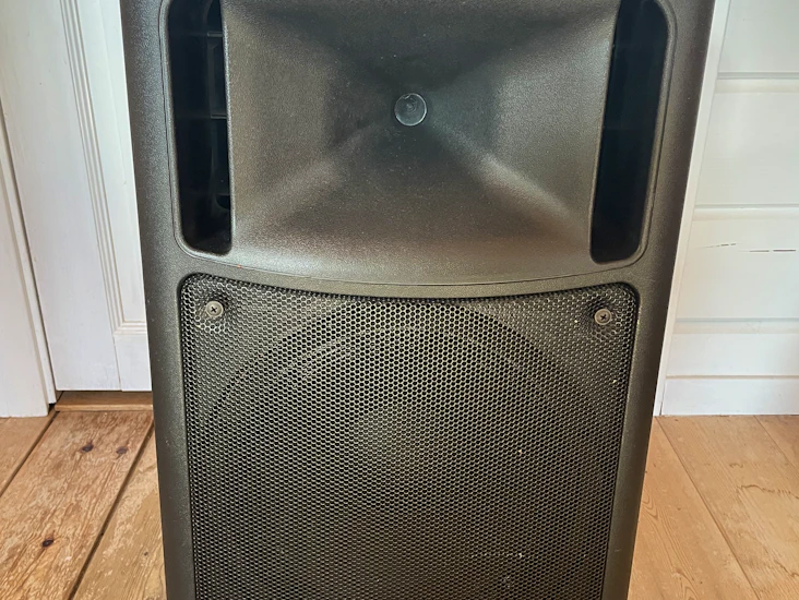 Högtalare pa 12 tum