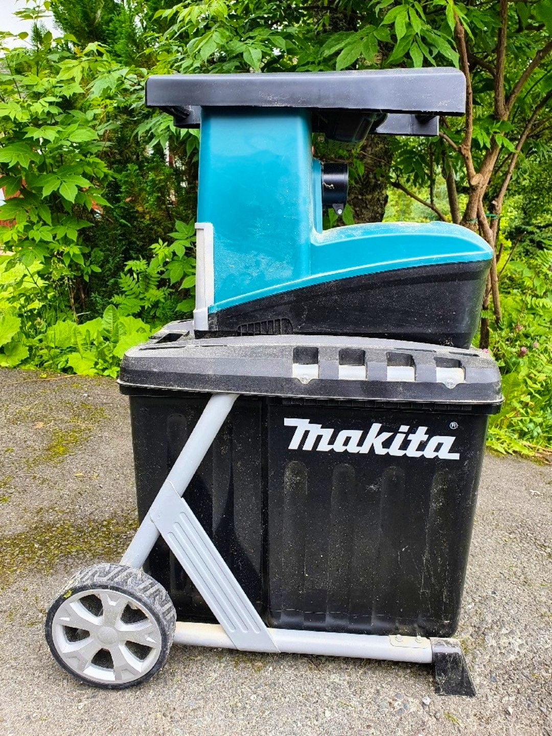 New Zealand Skorpe Dem Lei Makita kompostkvern av Marius U i Trondheim, Trøndelag for 71 - 200  kr/dag