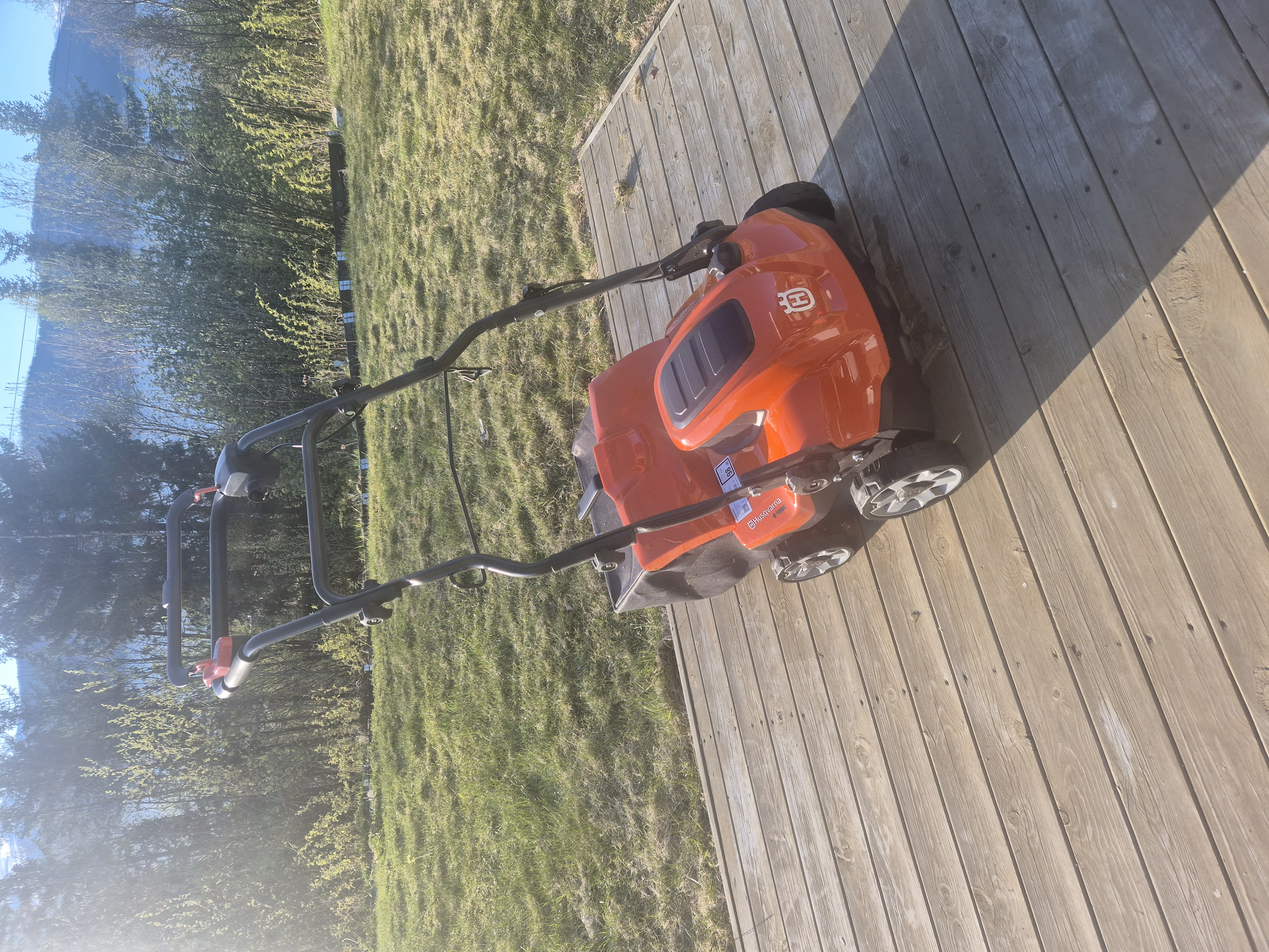 Vertikalskjærer/ mosefjerner