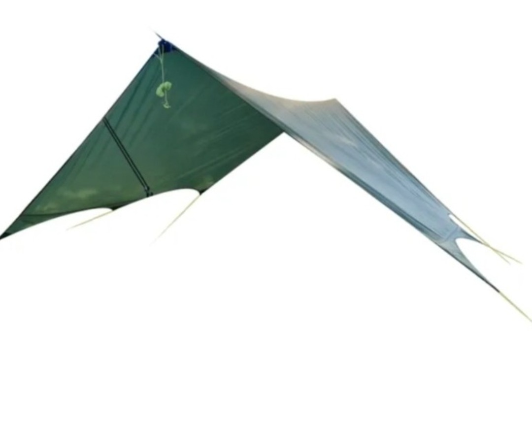 Tarp