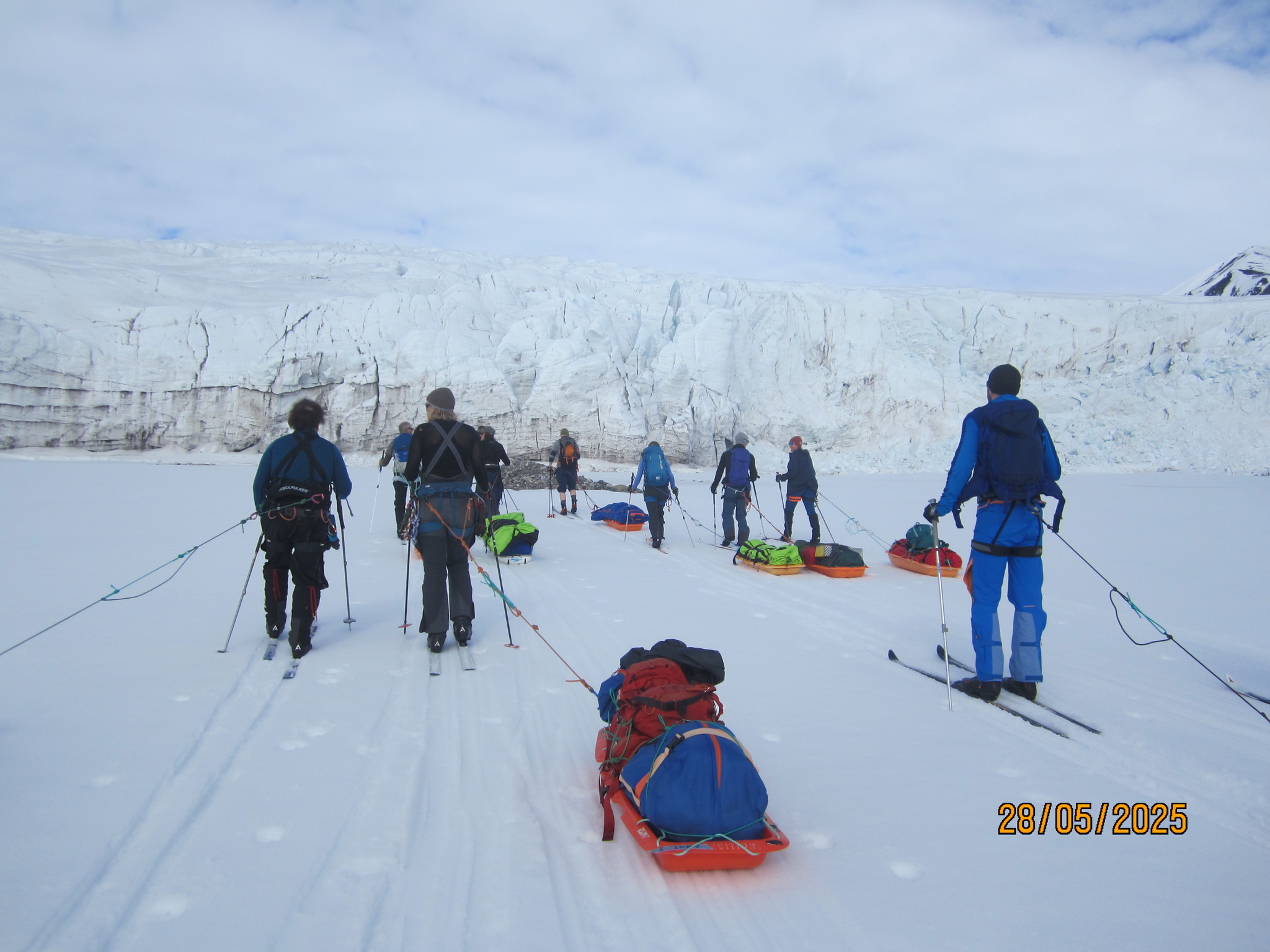 Pulk med drag/pulkpose/arctic bedding
