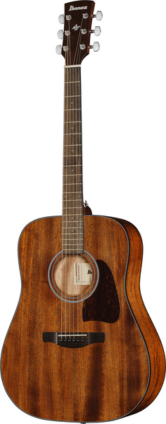 Ibanez akustisk gitar