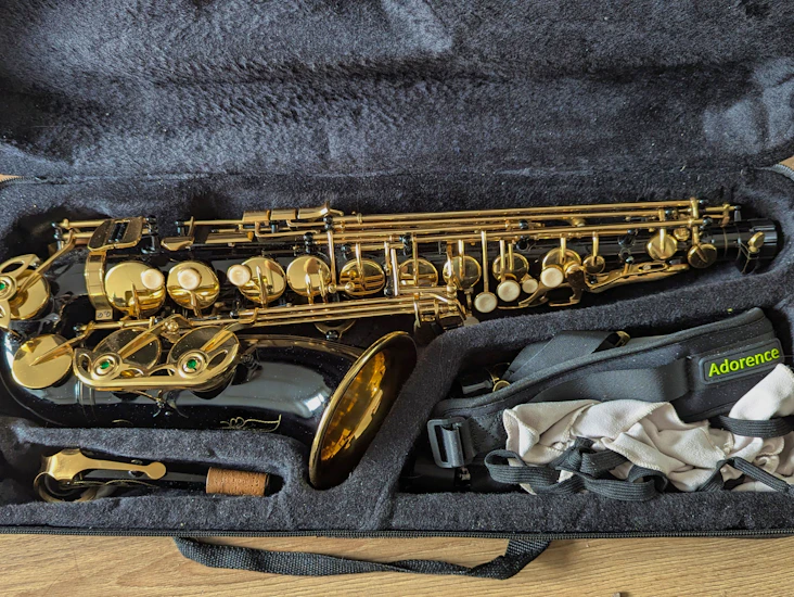 Kocan alto saxphone