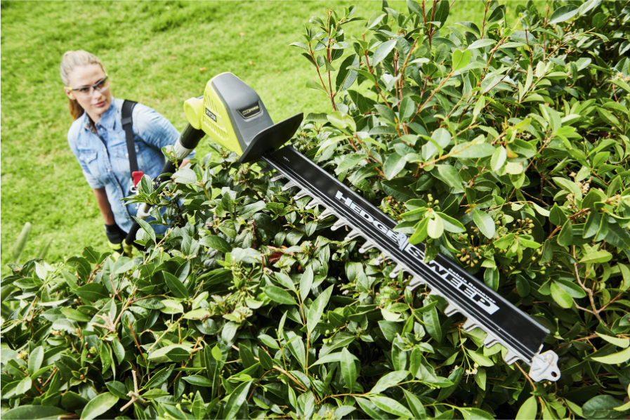 Ryobi teleskopisk hekksaks 36v max power – 2,9 m rekkevidde (ry36pht50a-0)