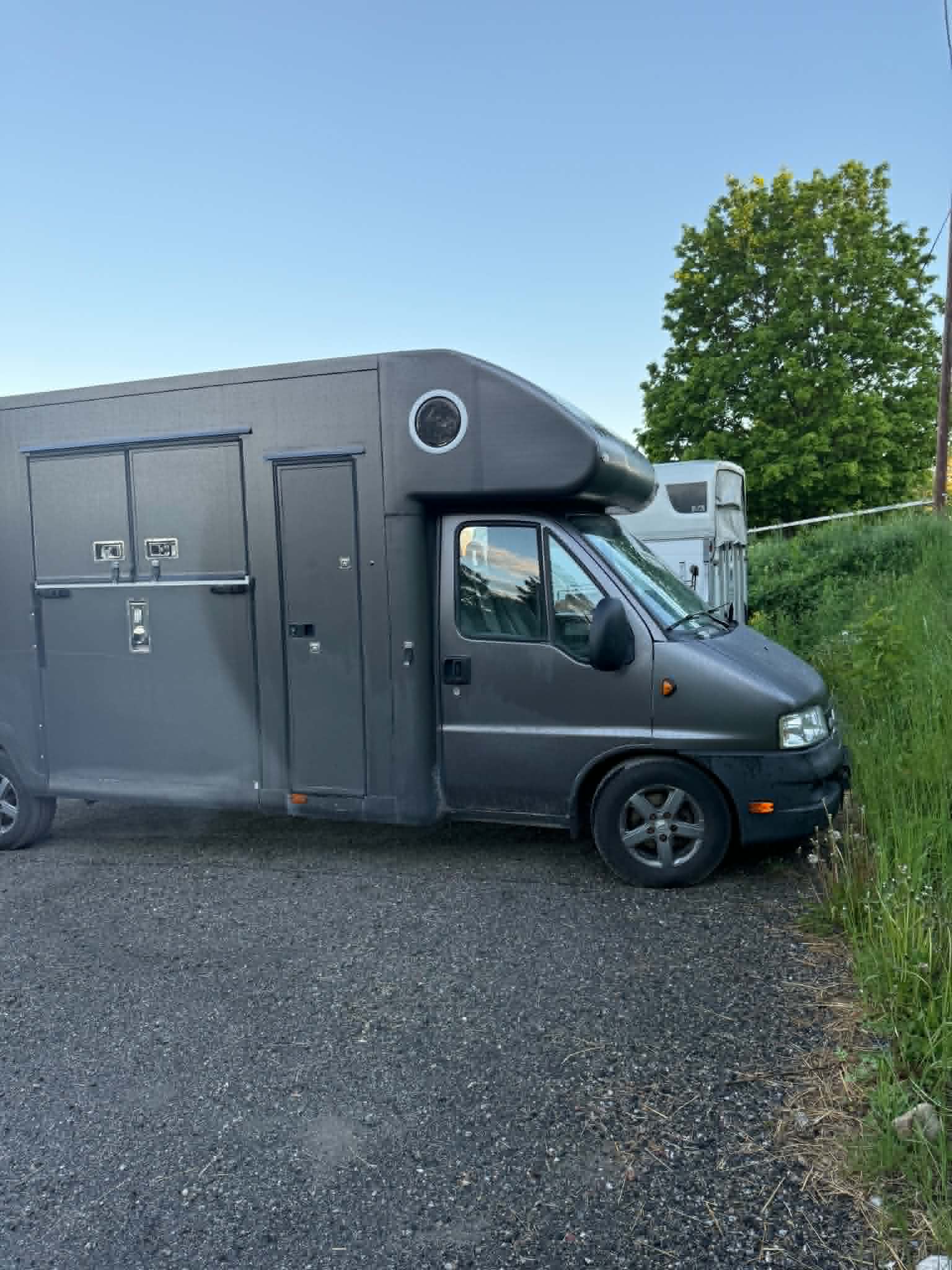 B-korts hästlastbil med 3 sovplatser för trygg transport upp till 1090 kg