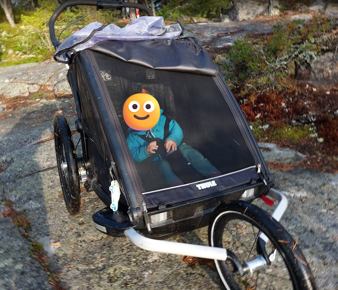 Thule chariot sport 2 