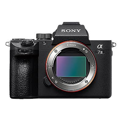 Sony a7iii camera body, dual battery charger + 4 batteries.