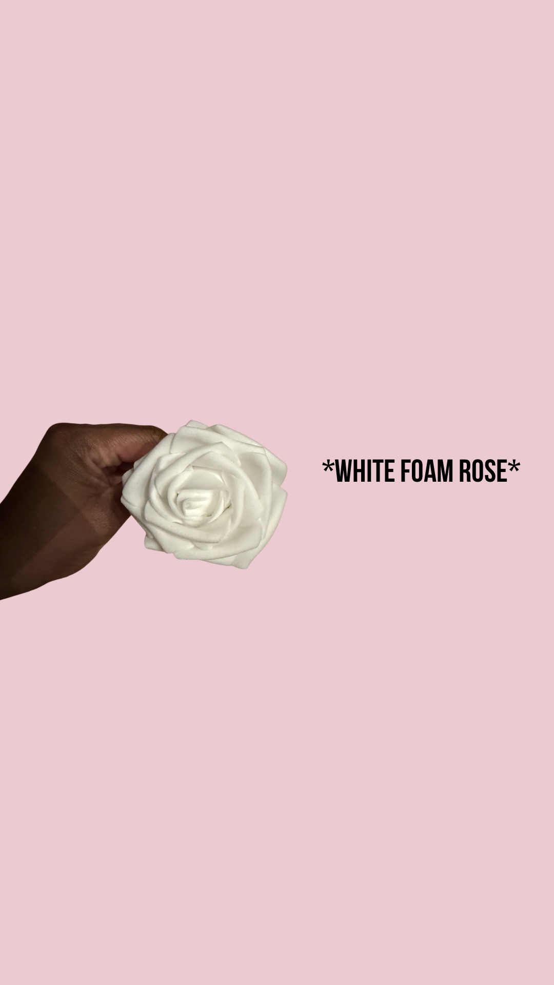 White foam rose 