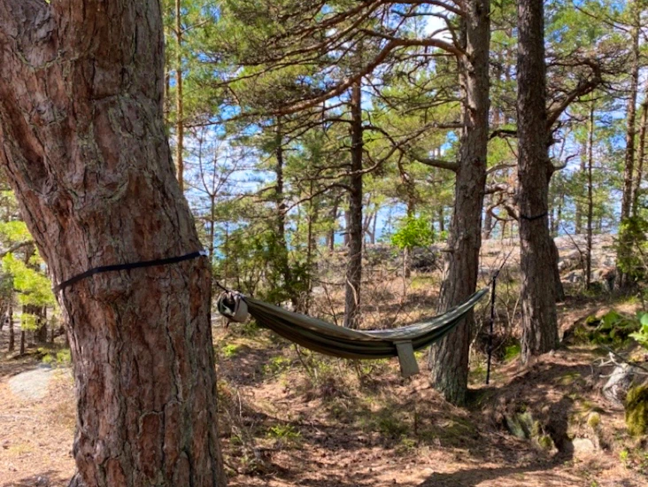 Riippumatto ja hyönteisverkko