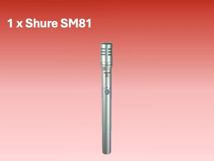 Shure sm81