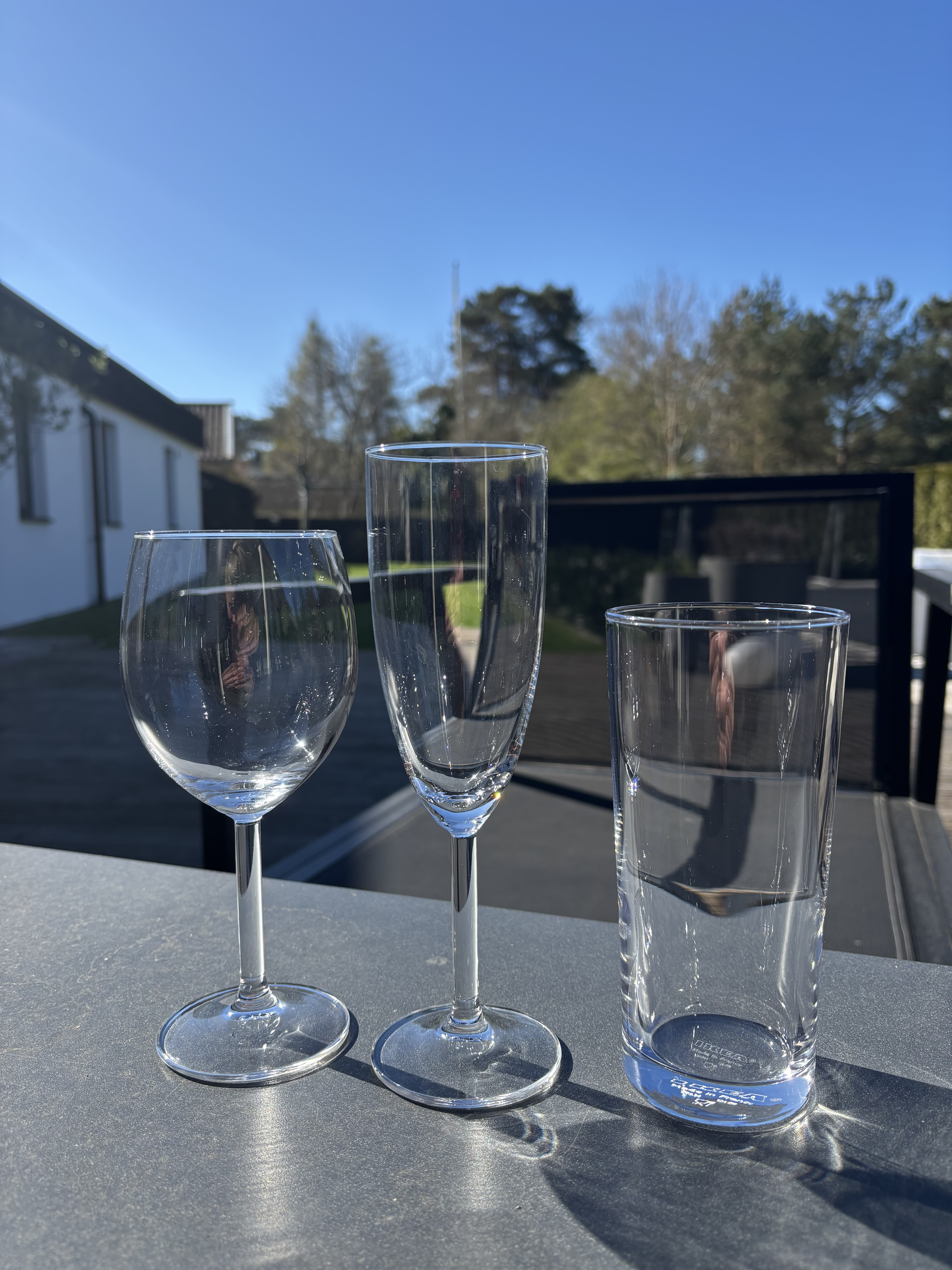 Glas till middagen eller festen 24 av varje sort