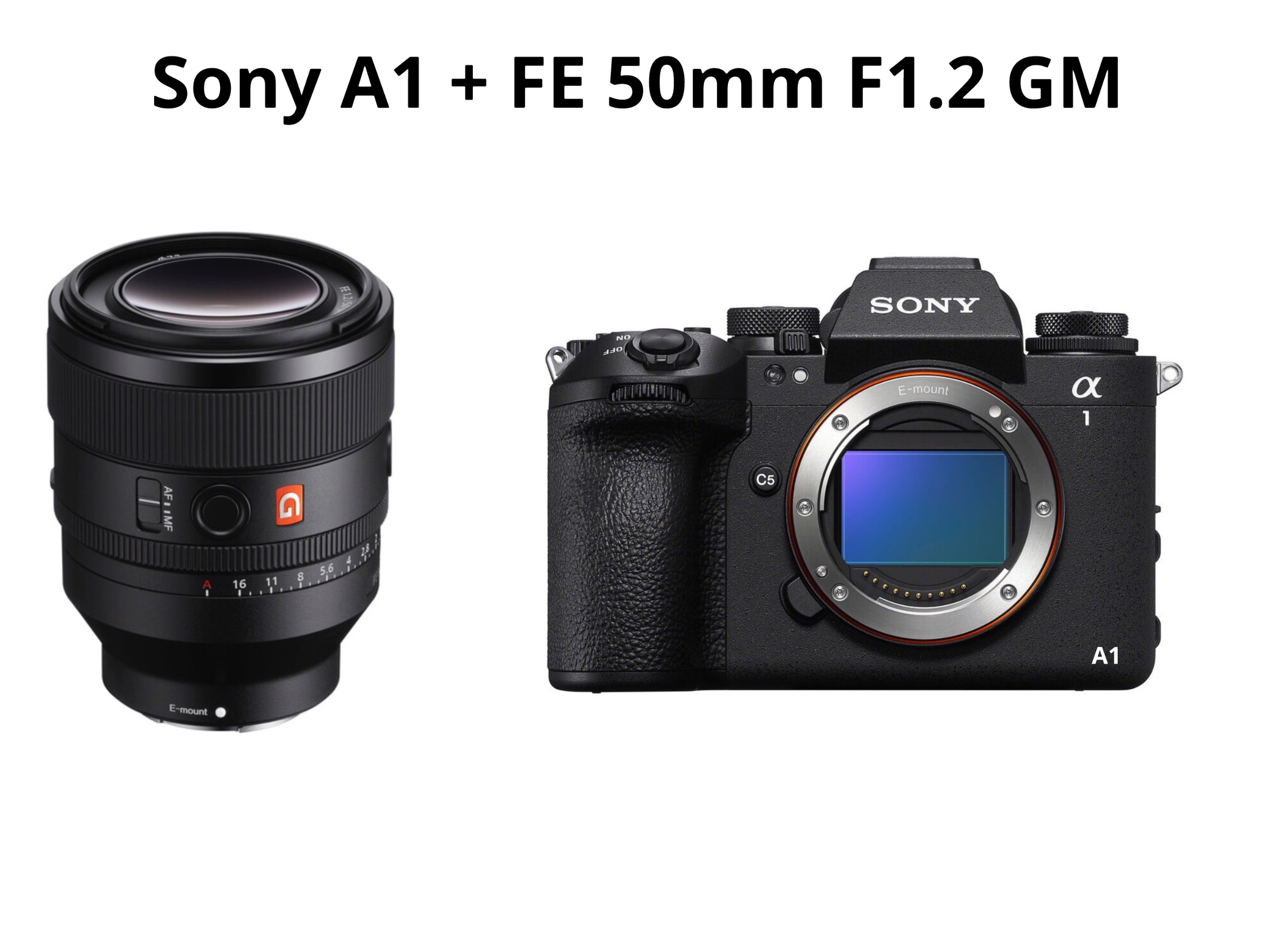 Sony a1 + fe 50mm f1.2 gm 
