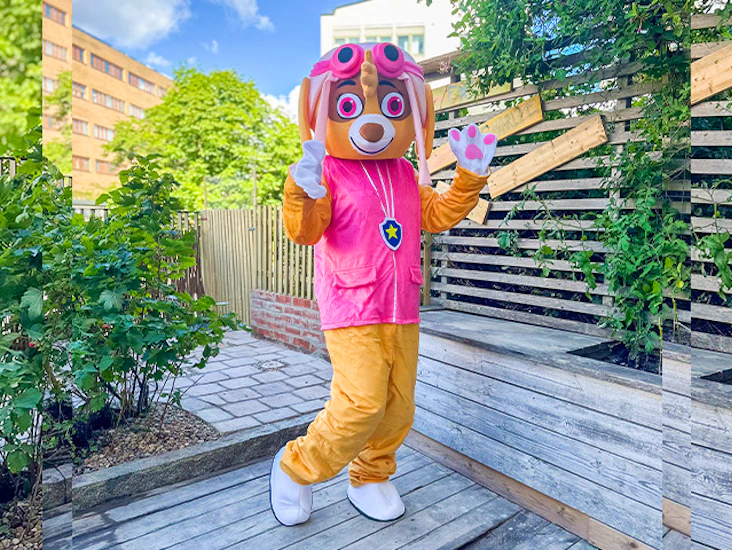 Paw patrol skye maskeraddräkt