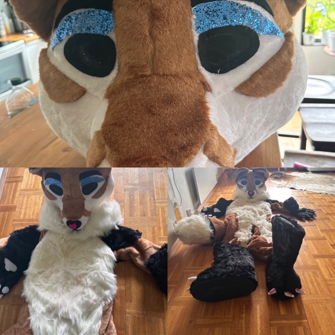 Tiger kostym, överraska barnen (och andra)