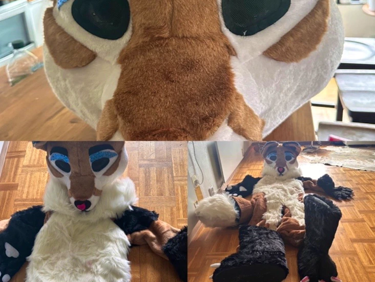 Tiger kostym, överraska barnen (och andra)