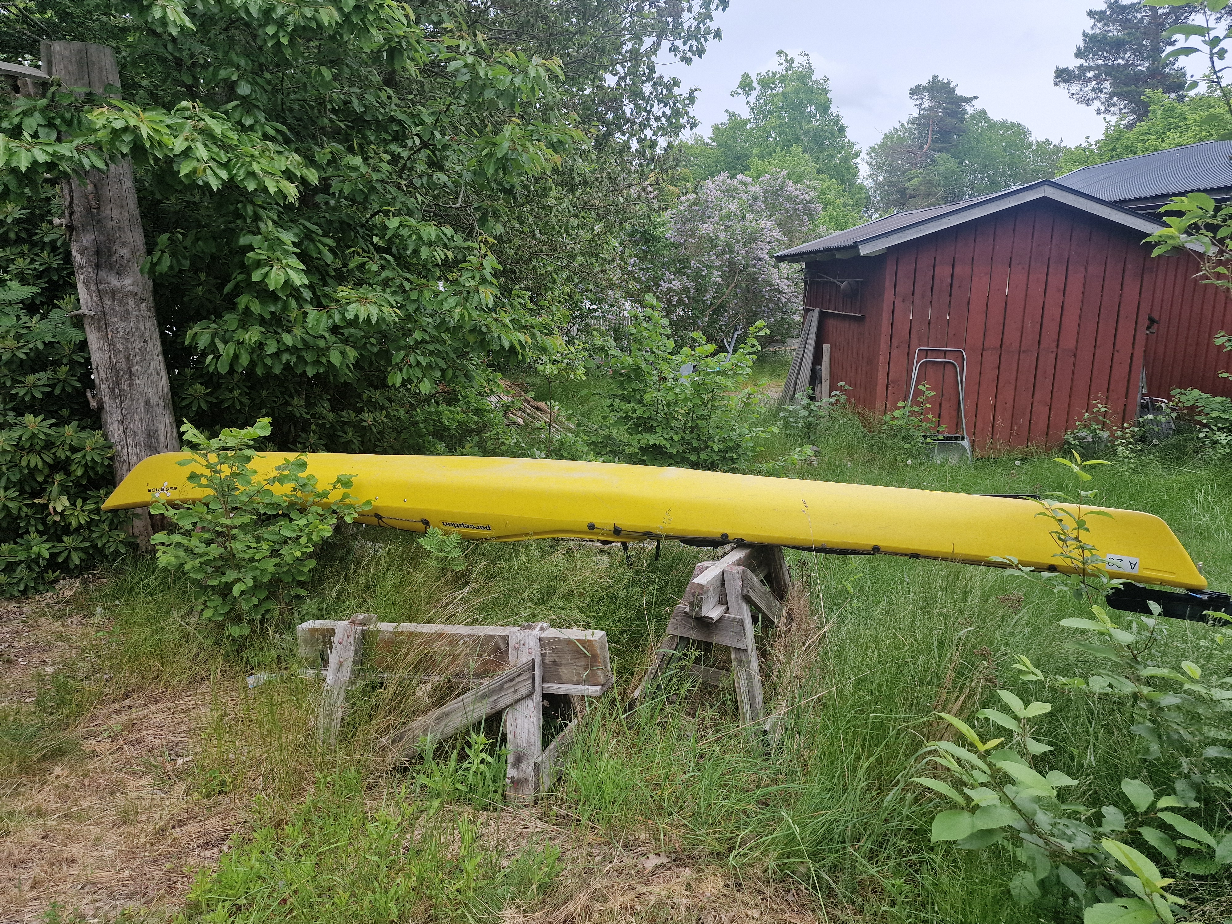 Havskajak perception, 1-mans paddel och vagn. 