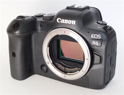 Canon r6 with r-ef converter