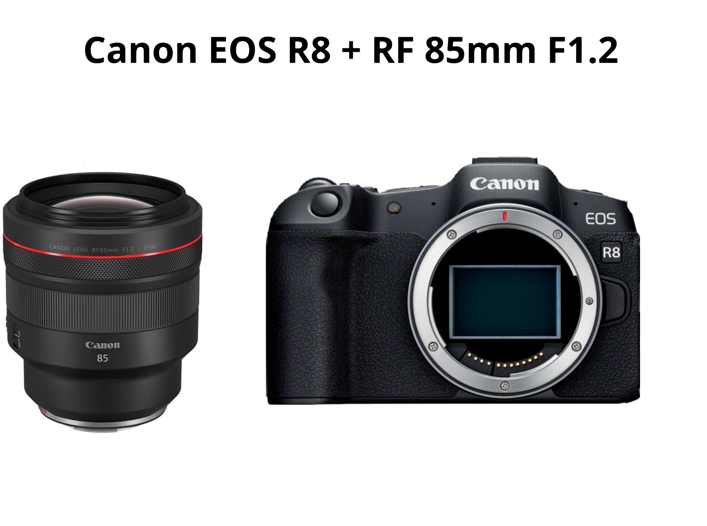 Canon r8 + rf 85mm f1.2 