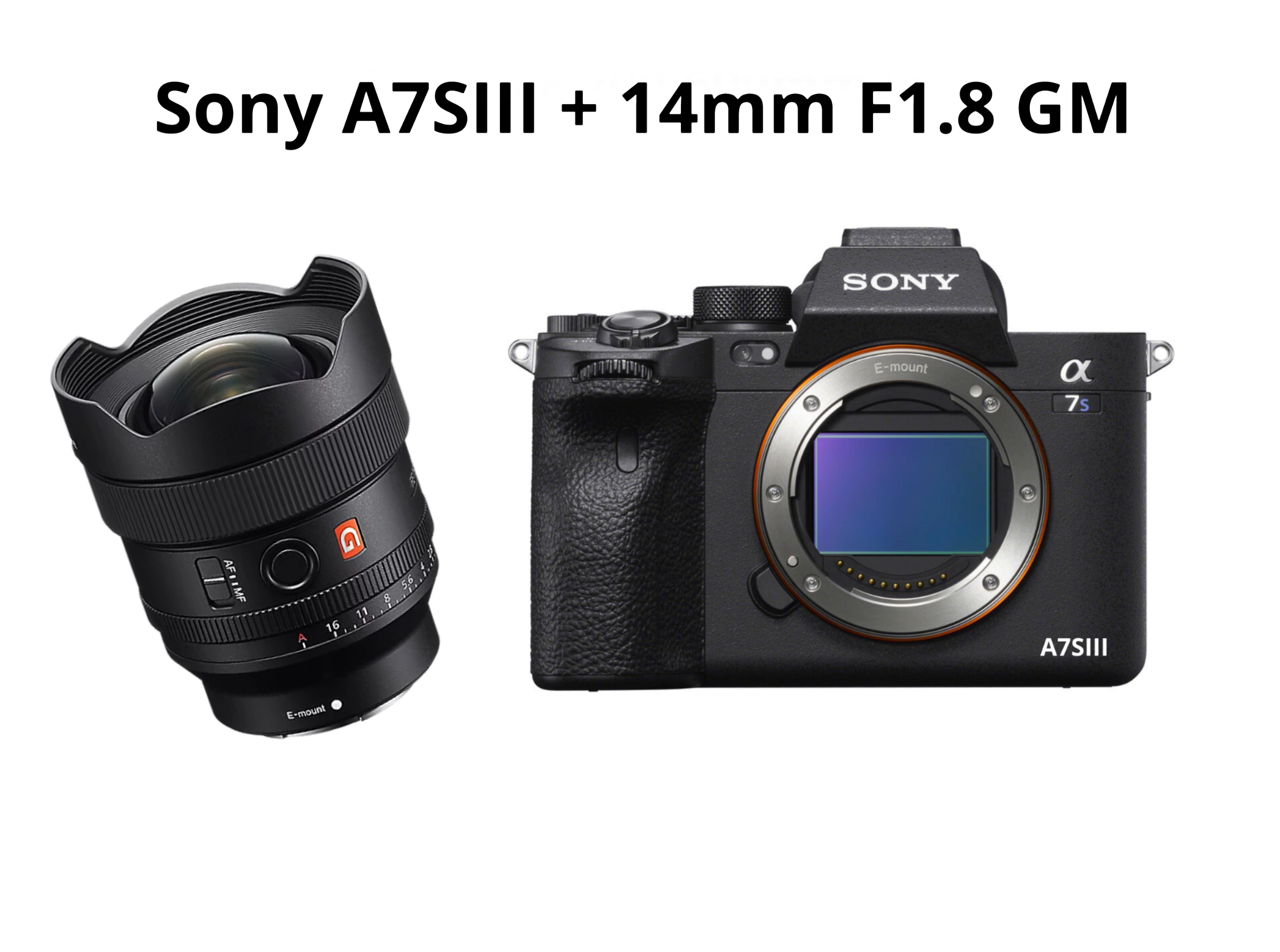 Sony a7siii + 14mm f1.8 gm