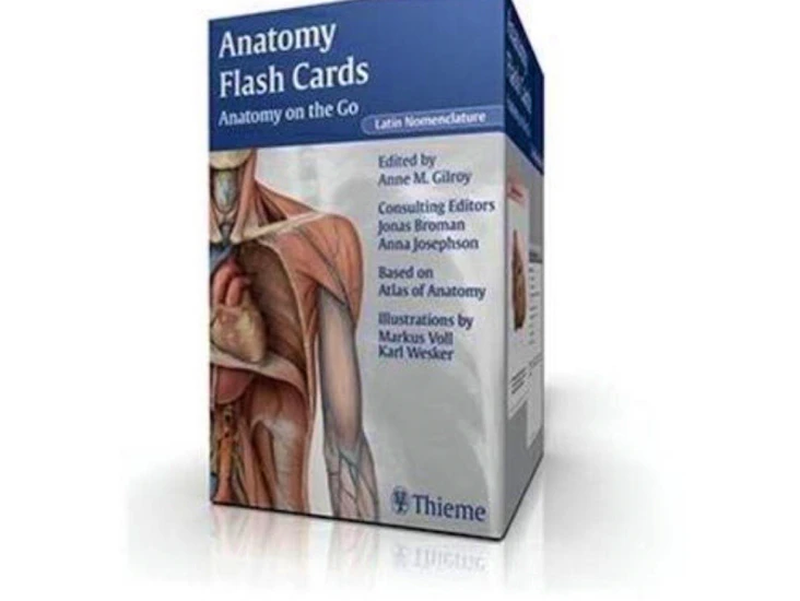 Flashcards anatomy