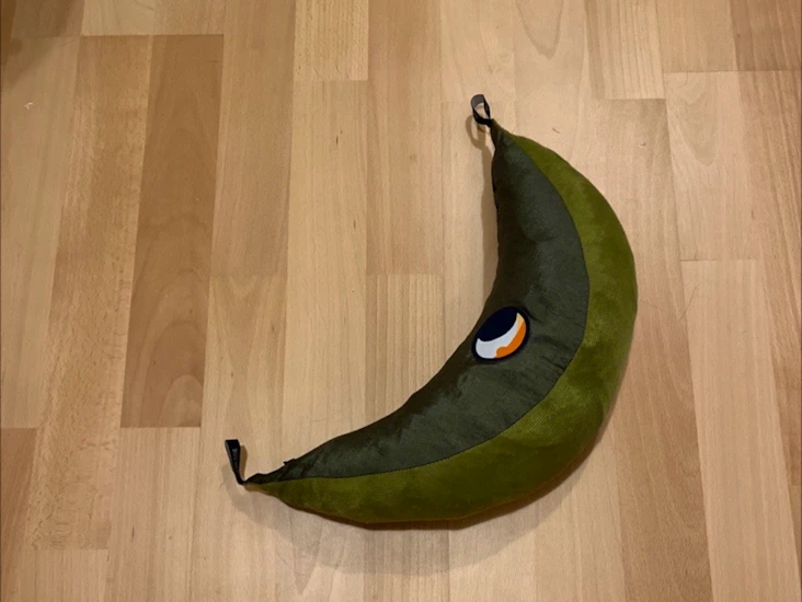 Myggnett ticket to the moon