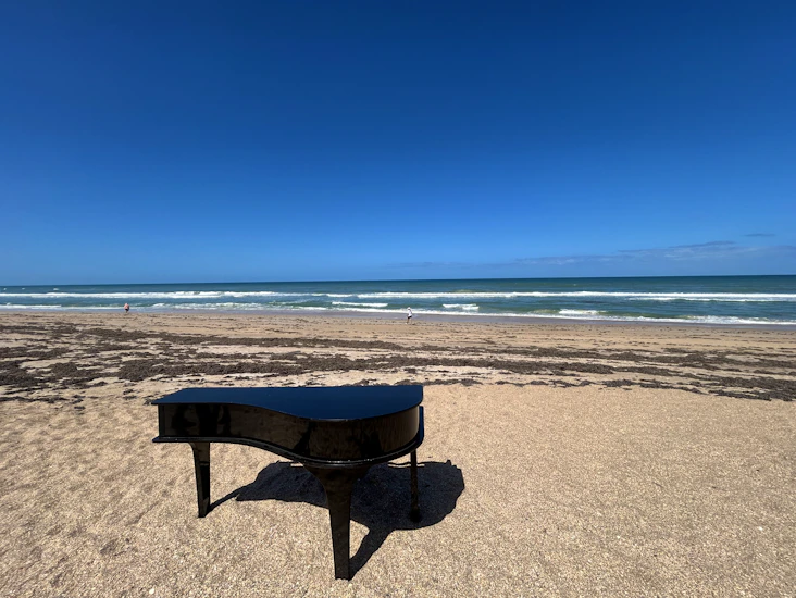 Presto s30 baby grand piano shells