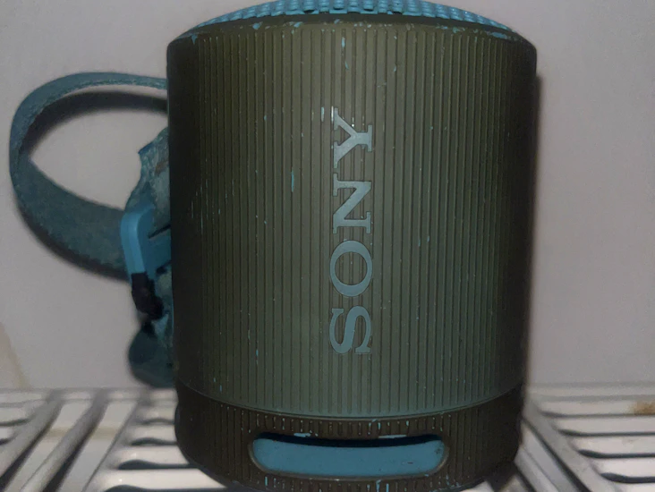 Sony srs-xb100
