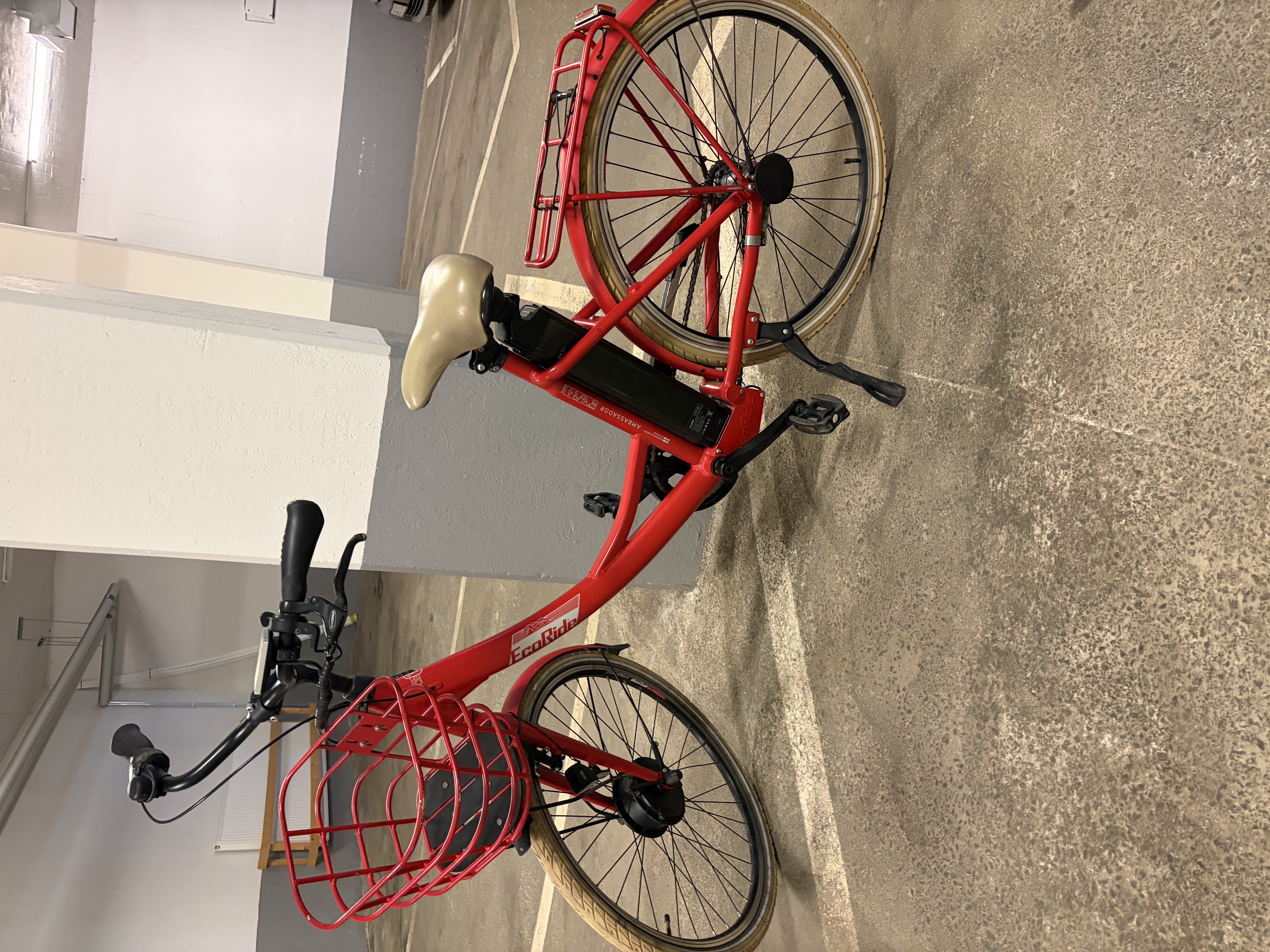 Ecoride ambassadör elcykel
