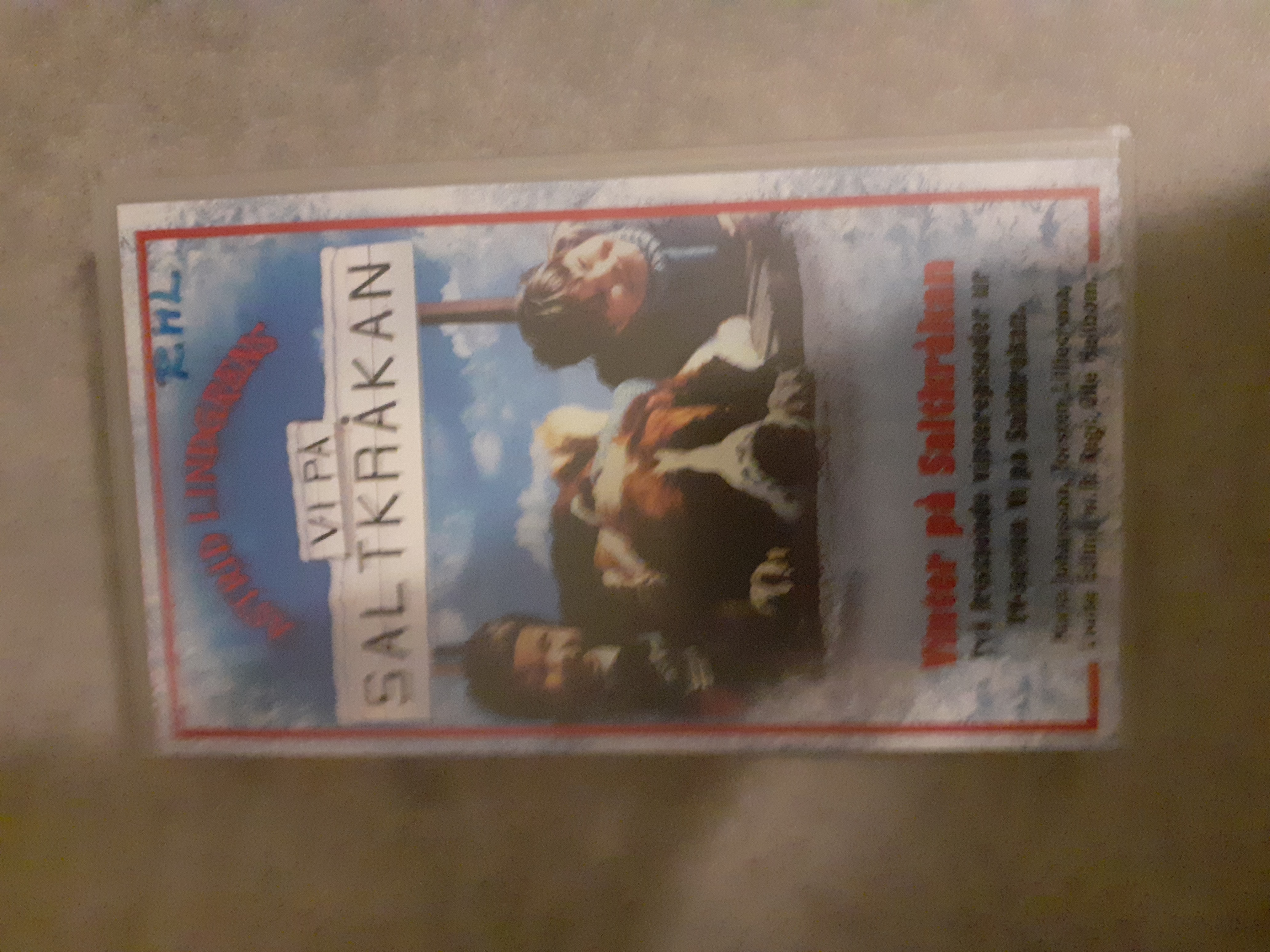 Vi på saltkråkan vinter