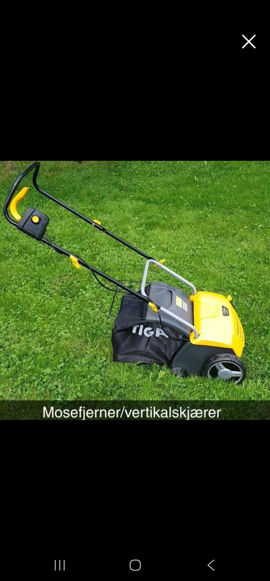 Mosefjærner/vertikalskjærer