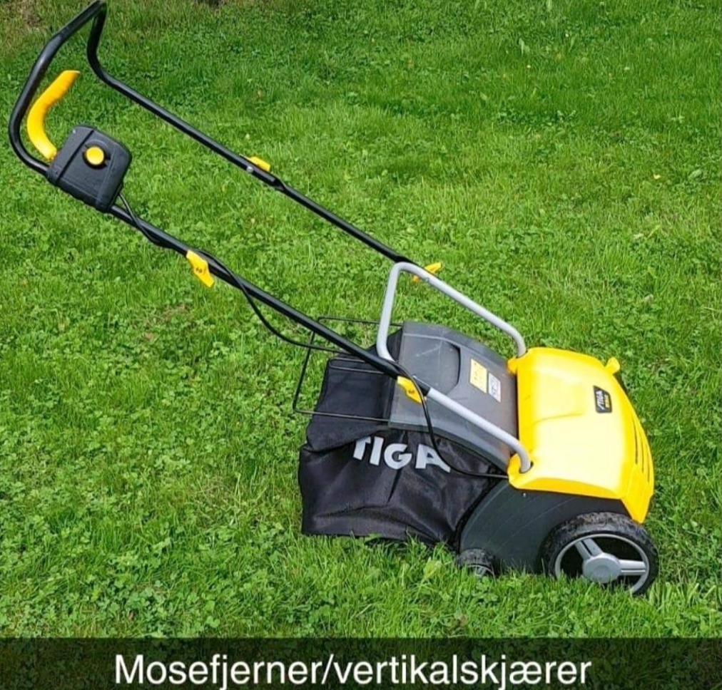 Vertikalskjærer/mosefjerner