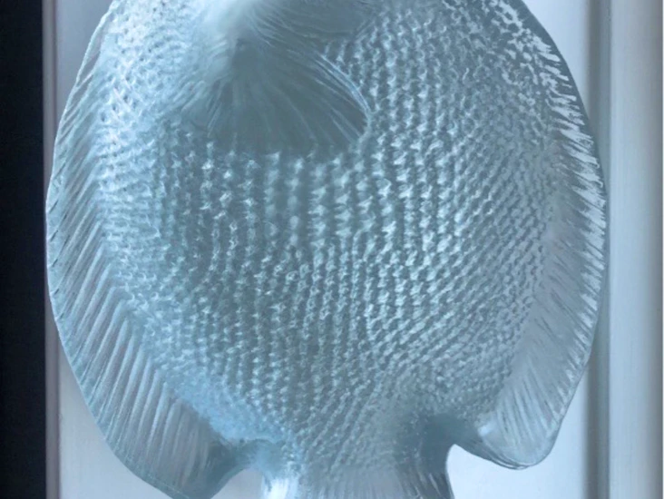 "fish shaped" cake dishes