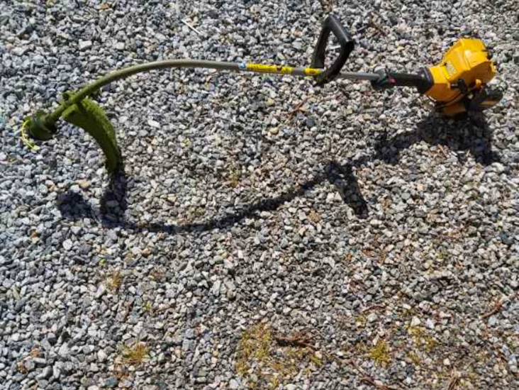 Kantklipper. partner colibri