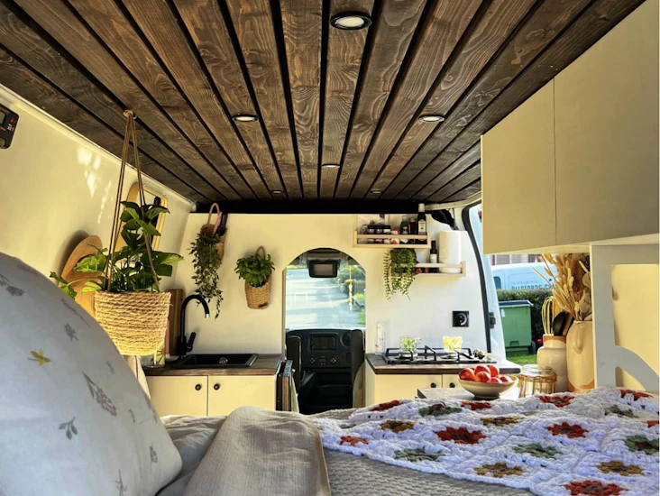 Mysigaste vanen med allt du behöver!