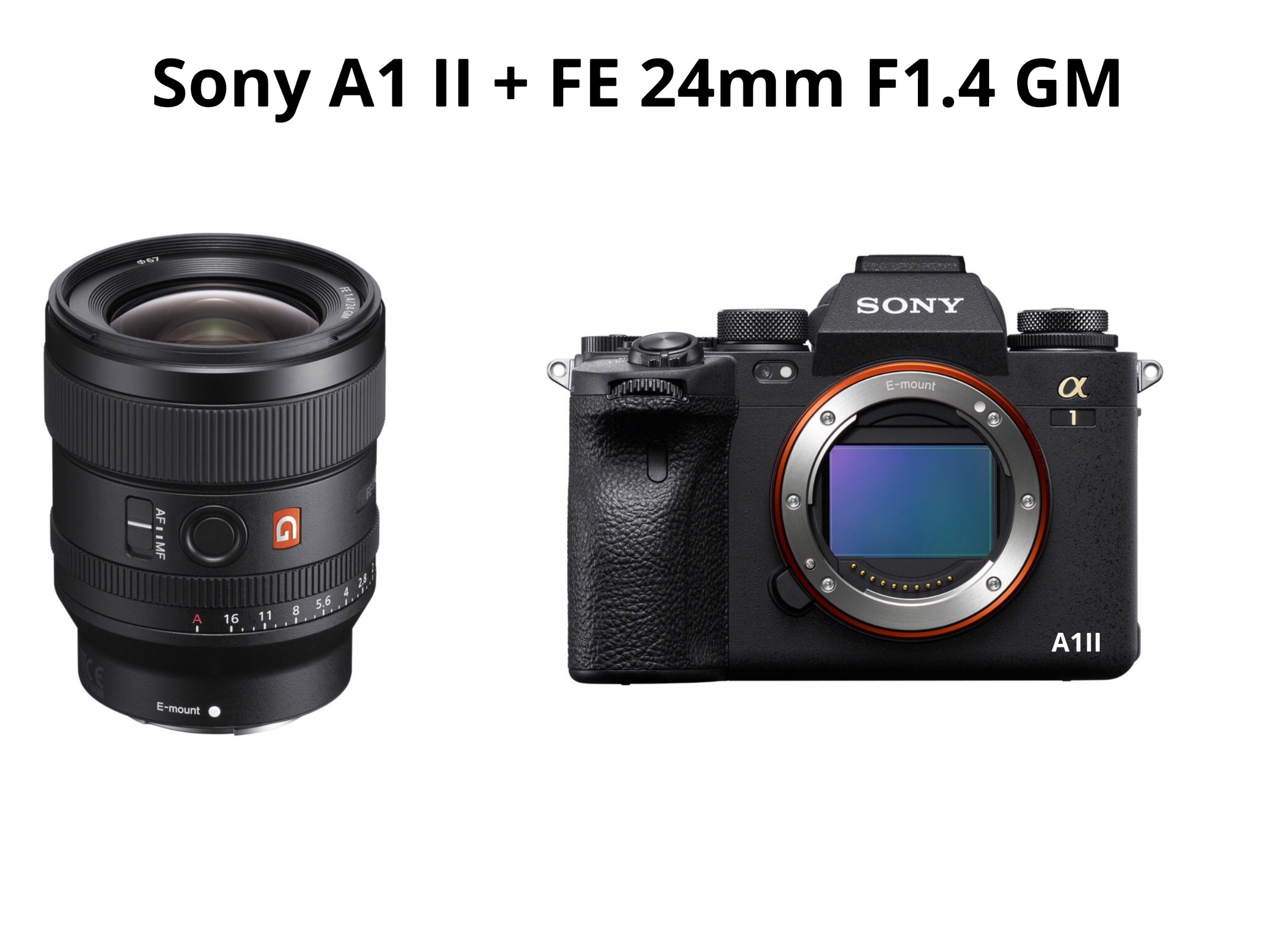 Sony a1 ii + fe 24 mm f1.4 gm 