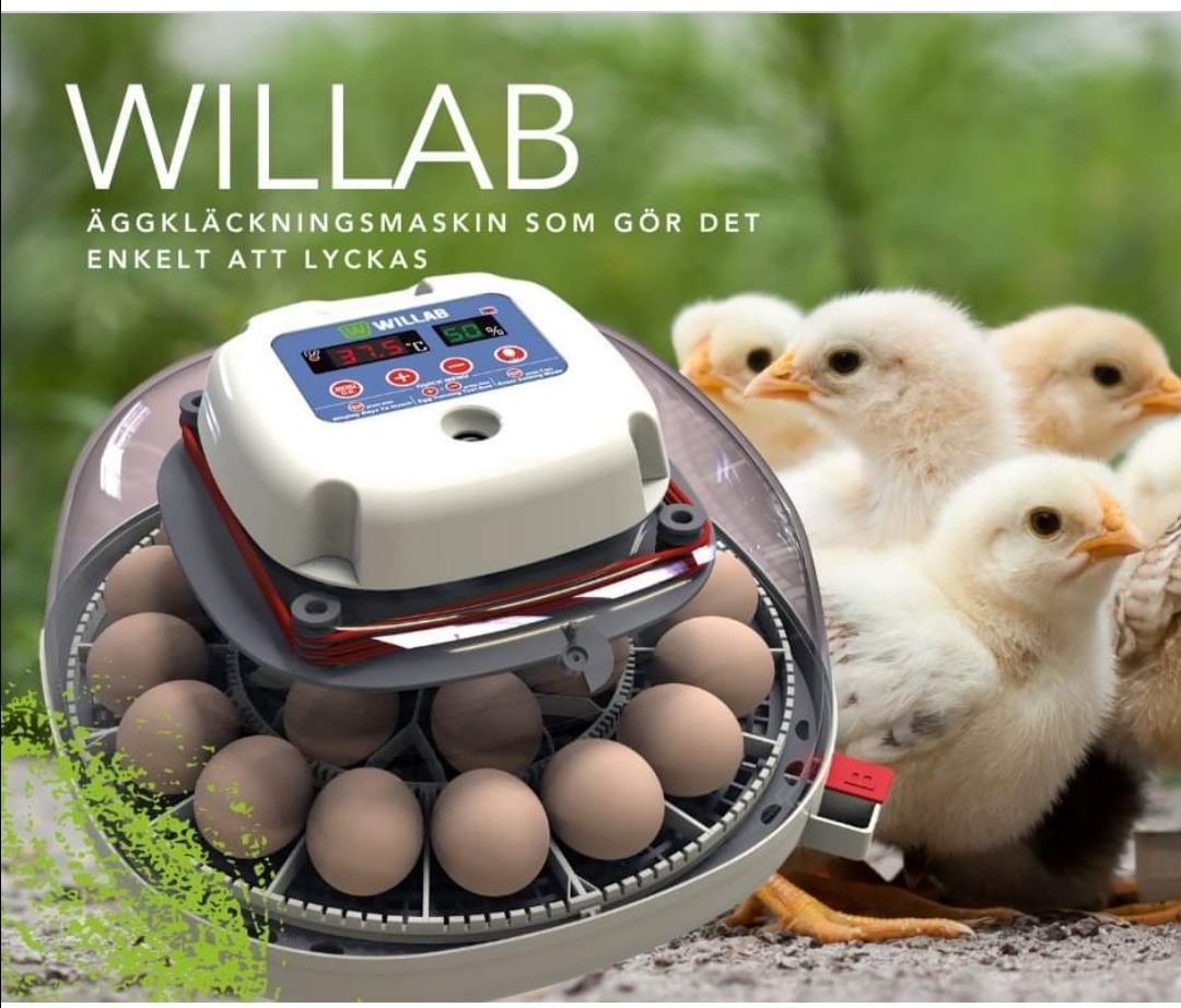 Willab äggkläckningsmaskin