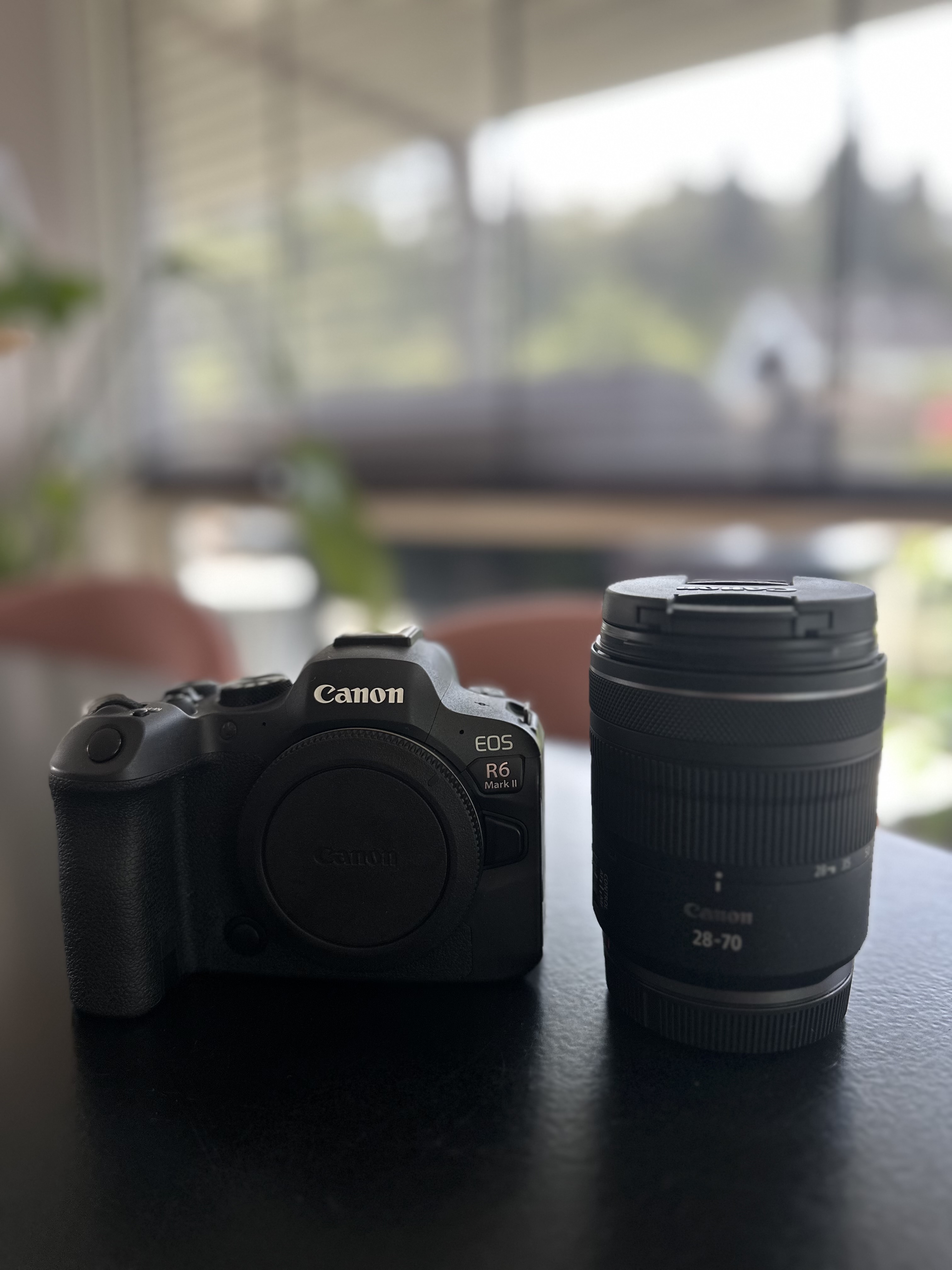 Canon eos r6 mk ii og 28-70mm f/2.8