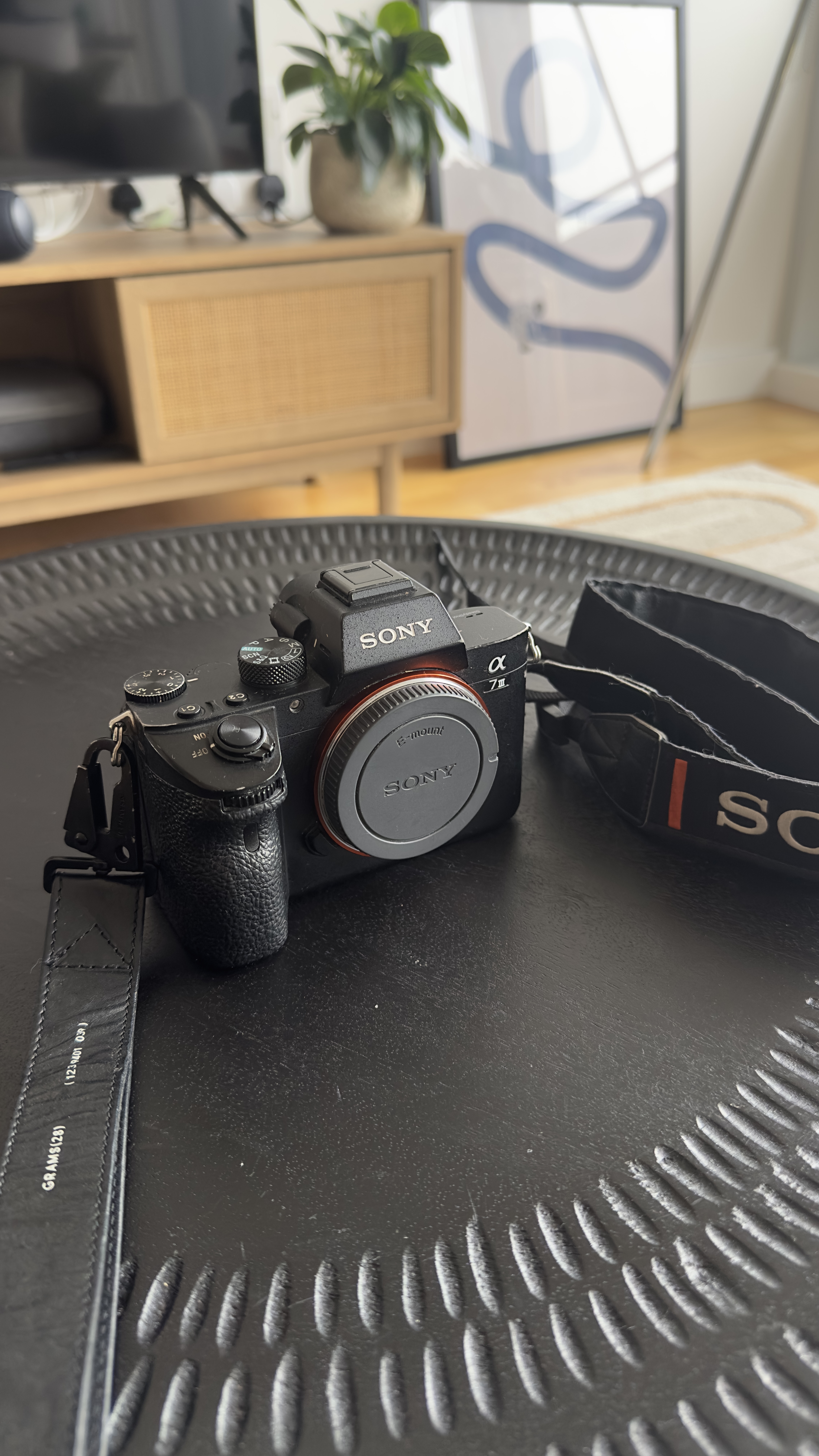 Sony a7 iii mirrorless camera body