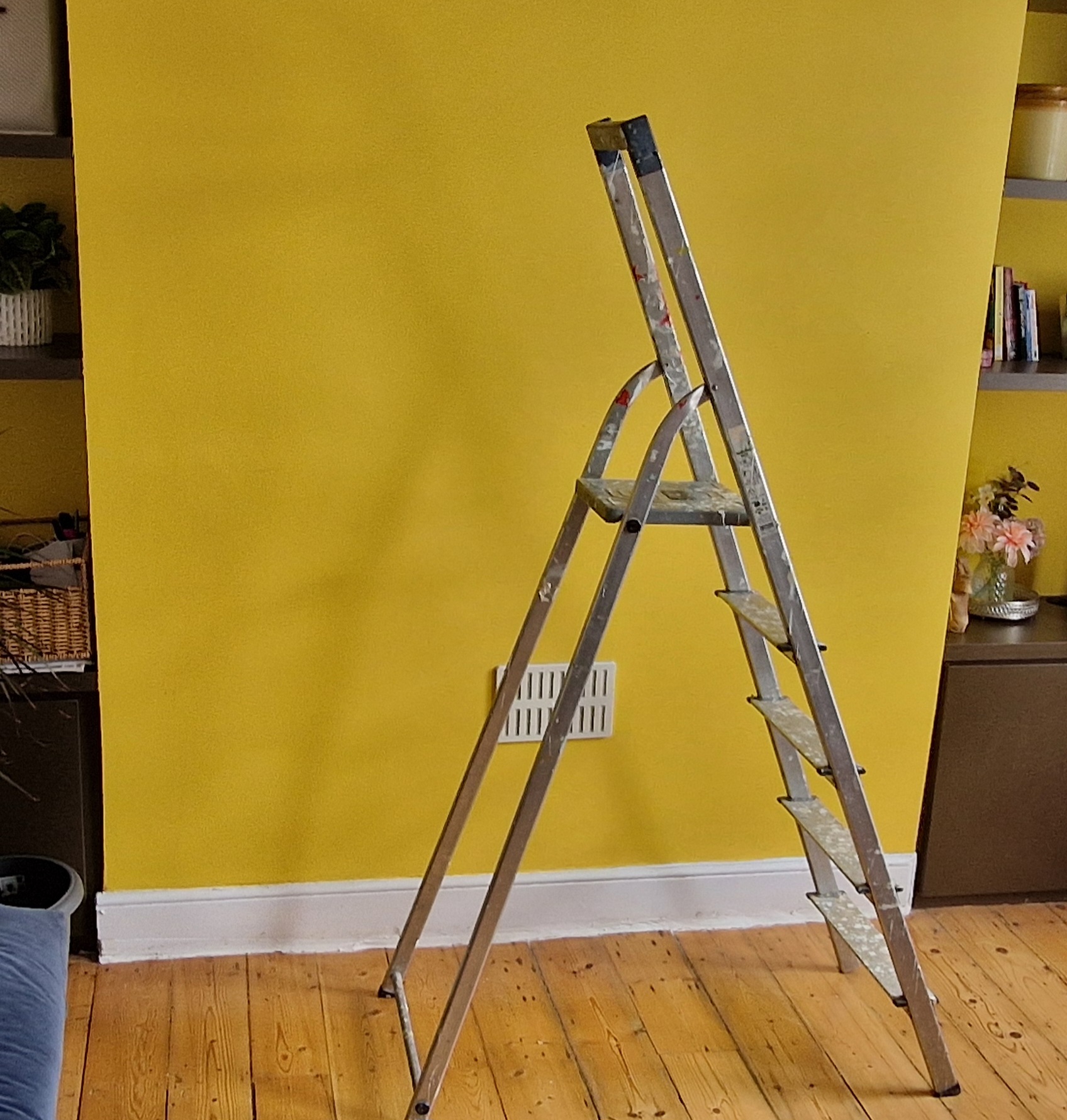 Step ladder