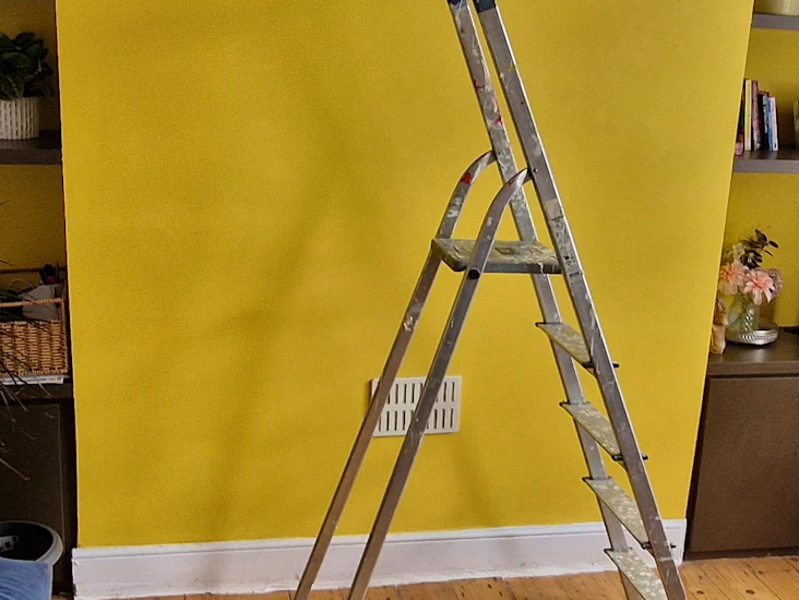 Step ladder