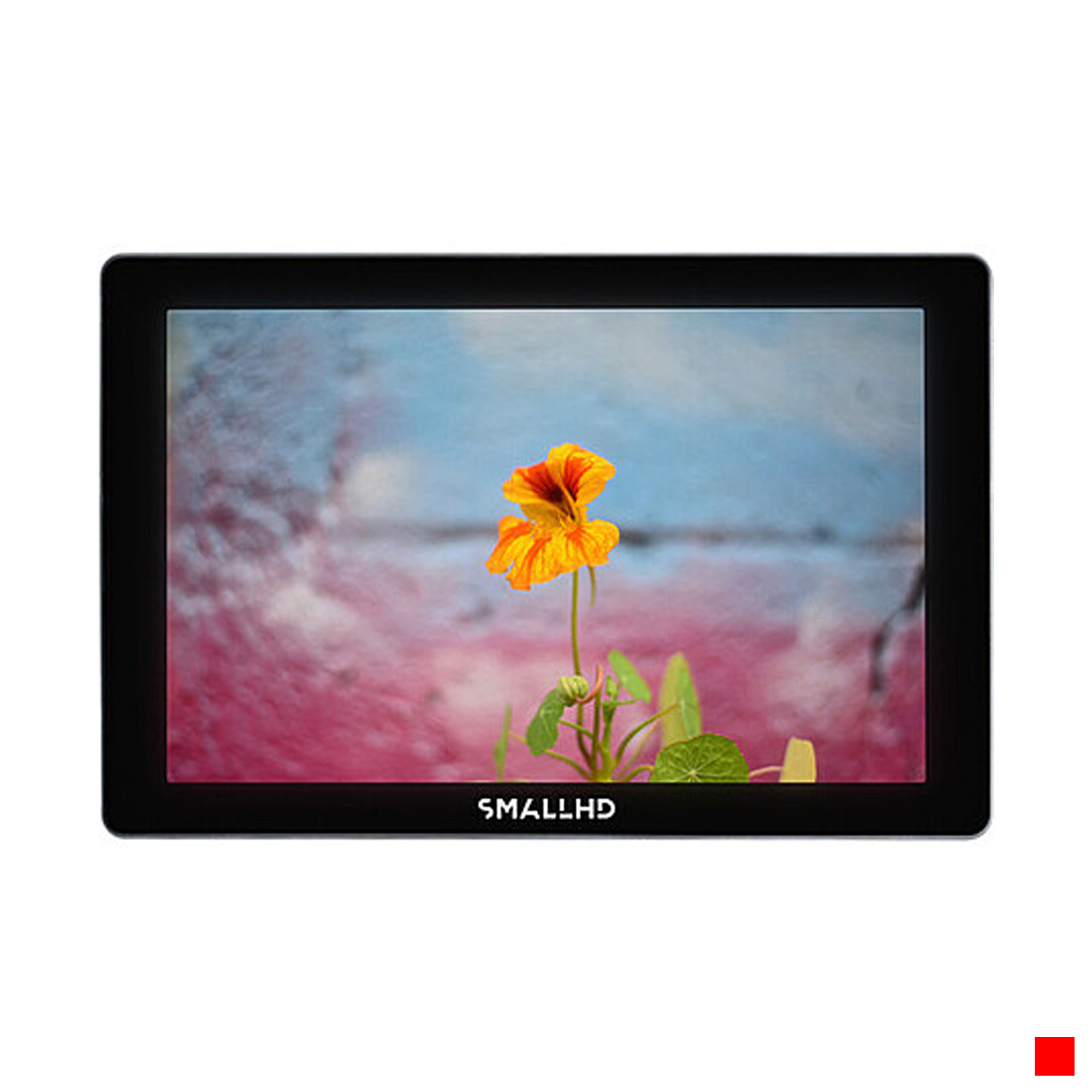 Small hd indie 7 with cage and matte screen protector 